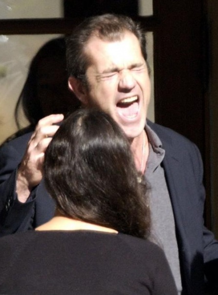 mel gibson crazy. The Mel Gibson Situationquot;